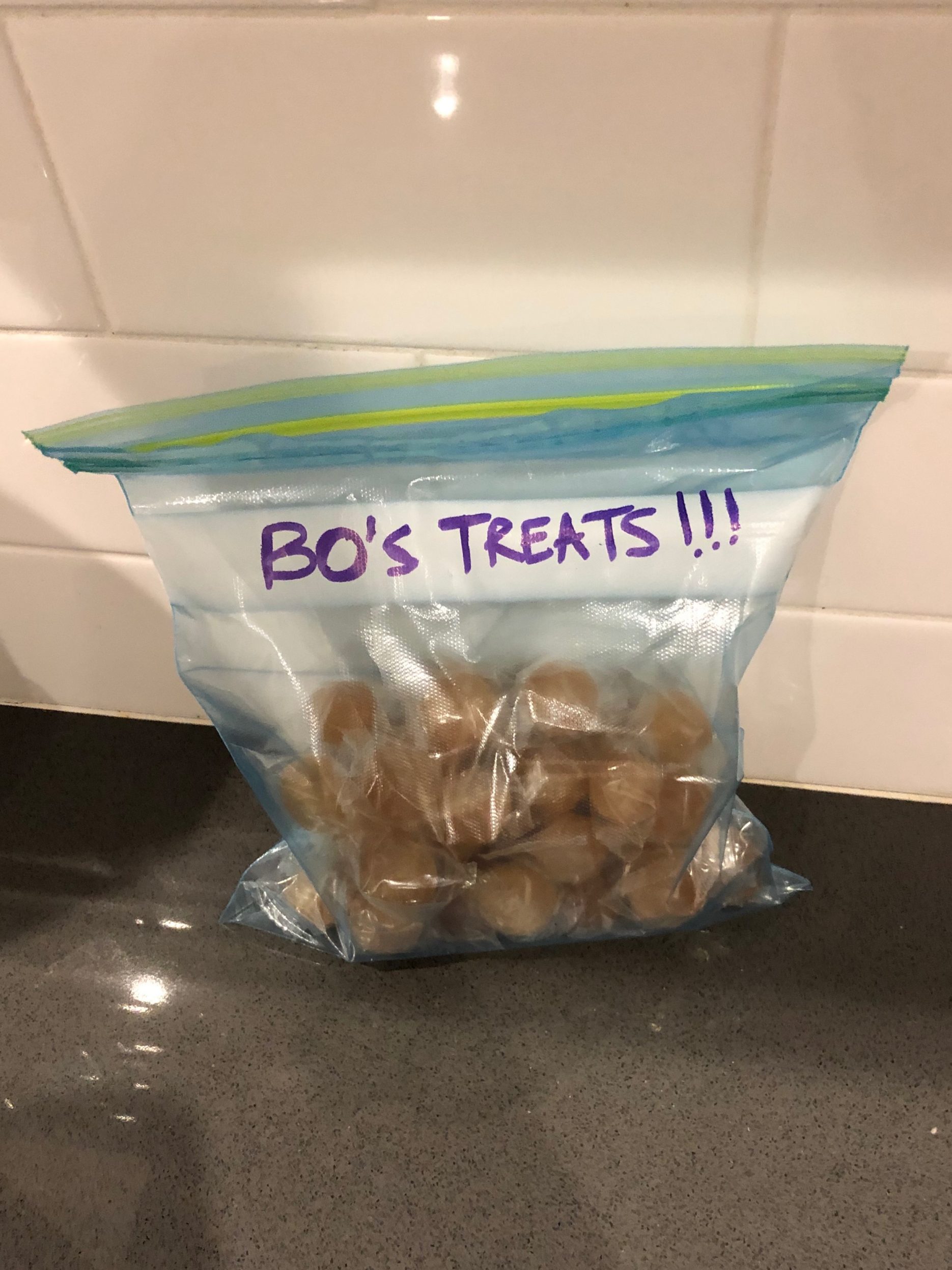 A Bag of Bo's Treats for Where the Cat Soundwalk
