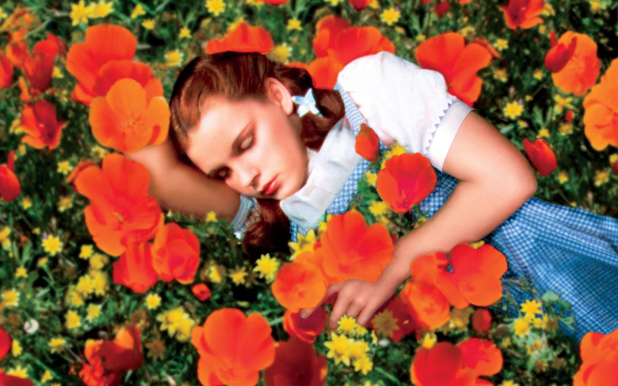 Dorothy in field of Poppies - Wizard of Oz