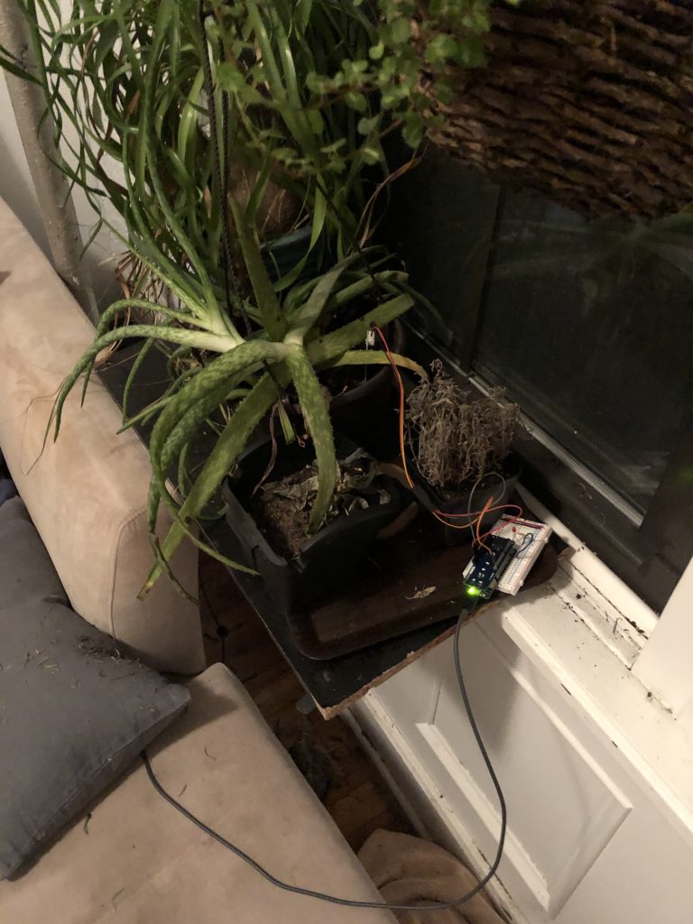 Plant Sensor Setup with Arduino MKR 1010 and ENV Shield in place