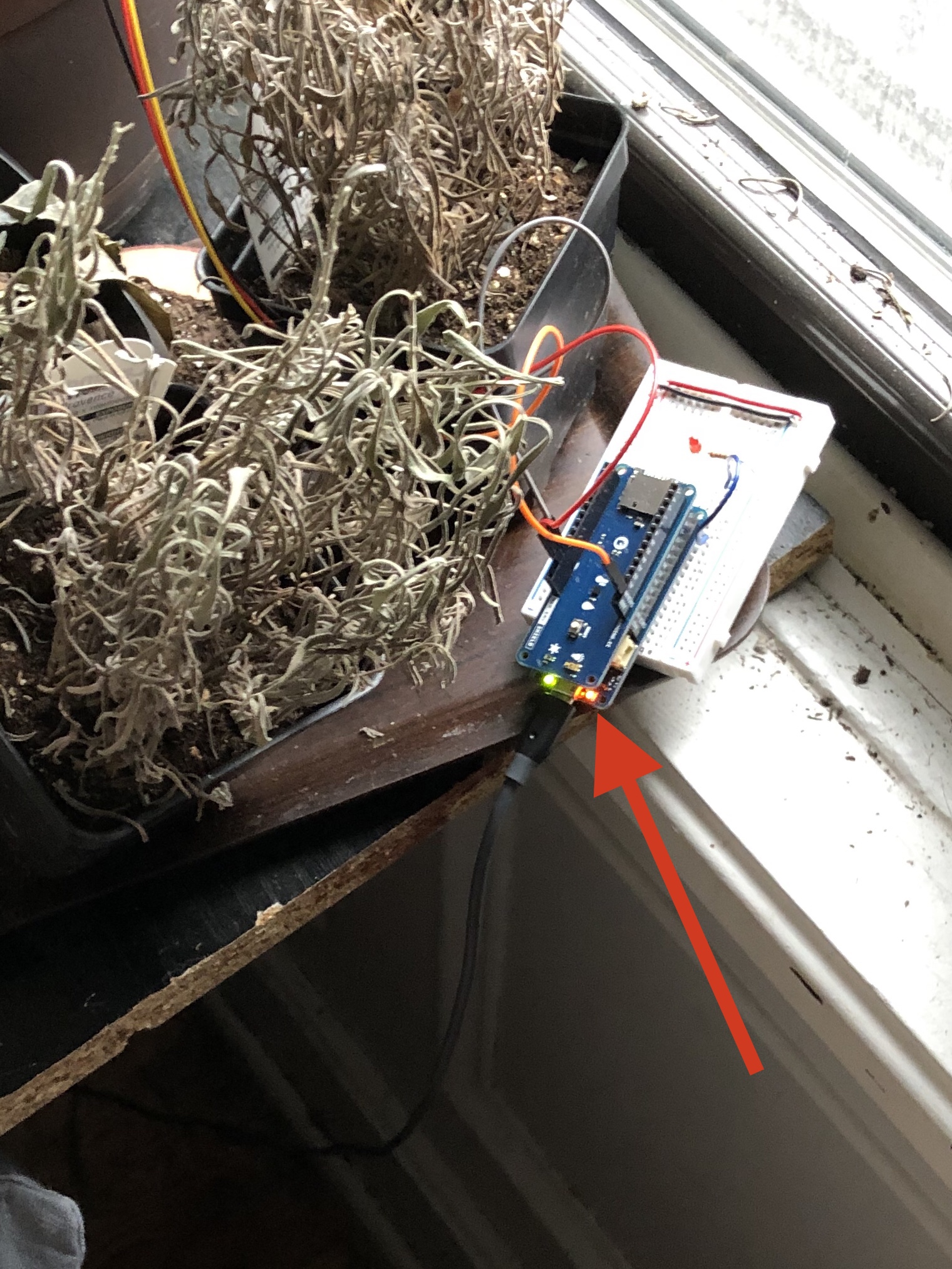 Plant Sensor Setup with Arduino MKR 1010 and ENV Shield and the pesky orange light