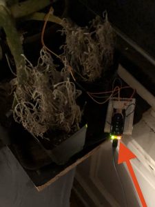 Plant Sensor Setup with Arduino MKR 1010 and ENV Shield and the PERSISTING pesky orange light