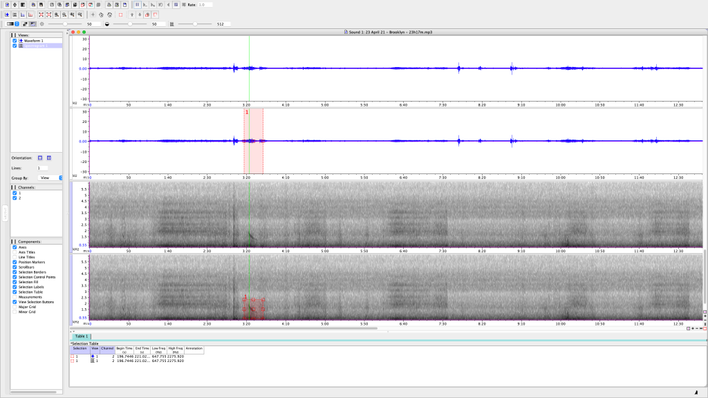 3 of 5 - Screen Shot of my attempt to analyze one of several 10-15 min recordings I made Friday night, 23 April 21, from my back patio in Bushwick, Brooklyn, NY. Most of these are passing cars with loud music, loud motorcycles, the occasional loud neighbor, and even an airplane. I noticed how most of the KHz measurements spanned quite above and below the 5KHz range (which is where birdsong falls.)